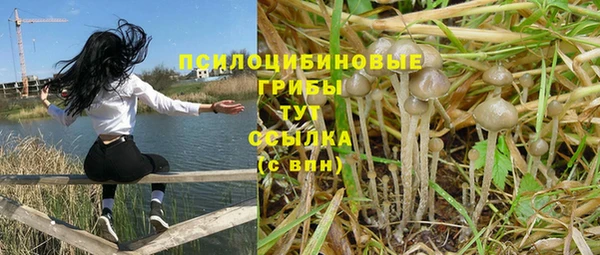 герыч Богородицк