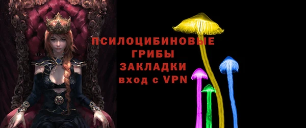 прущие грибы Снежинск
