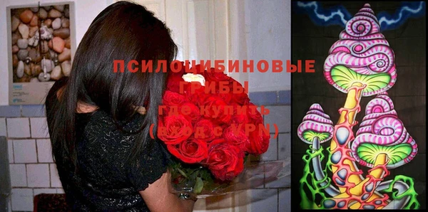 герыч Богородицк